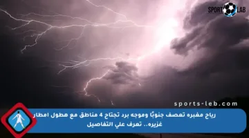 رياح مغبرة تعصف جنوبًا وموجة برد تجتاح 4 مناطق مع هطول أمطار غزيرة.. تعرف على التفاصيل